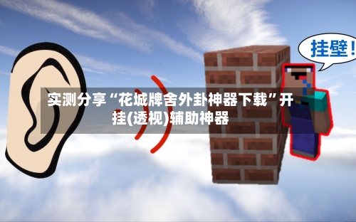 实测分享“花城牌舍外卦神器下载”开挂(透视)辅助神器-第3张图片