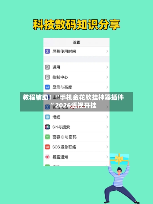 教程辅助！“手机金花软挂神器插件”2026透视开挂-第2张图片