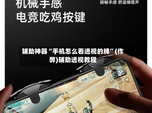 辅助神器“手机怎么看透视的牌”(作弊)辅助透视教程-第3张图片