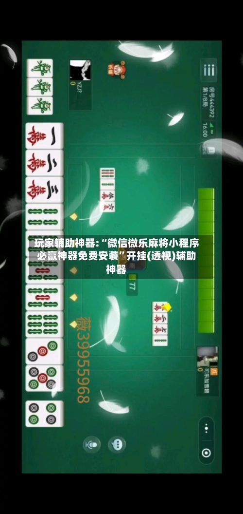 玩家辅助神器:“微信微乐麻将小程序必赢神器免费安装”开挂(透视)辅助神器-第2张图片