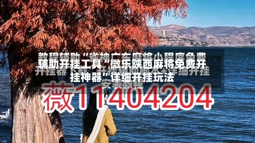 辅助开挂工具“微乐陕西麻将免费开挂神器	”详细开挂玩法-第2张图片