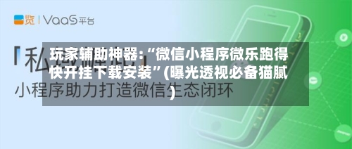 玩家辅助神器:“微信小程序微乐跑得快开挂下载安装”(曝光透视必备猫腻)-第2张图片