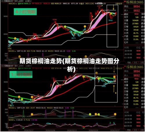 期货棕榈油走势(期货棕榈油走势图分析)-第2张图片
