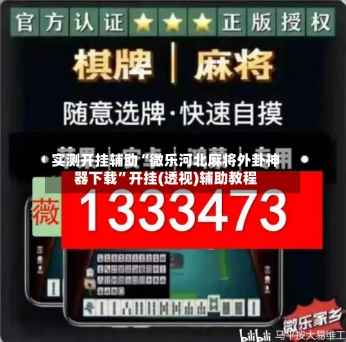 实测开挂辅助“微乐河北麻将外卦神器下载	”开挂(透视)辅助教程-第2张图片