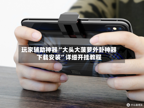 玩家辅助神器“大头大菠萝外卦神器下载安装”详细开挂教程-第2张图片