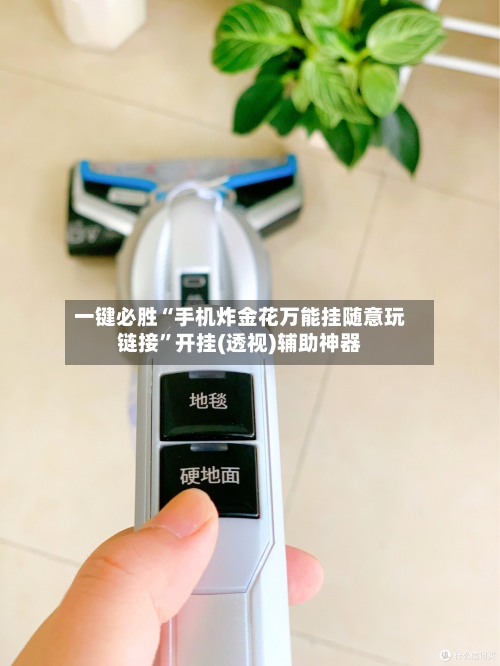 一键必胜“手机炸金花万能挂随意玩链接	”开挂(透视)辅助神器-第2张图片
