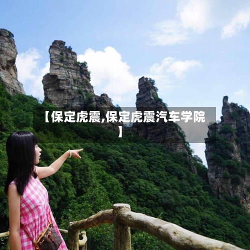 【保定虎震,保定虎震汽车学院】