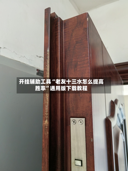 开挂辅助工具“老友十三水怎么提高胜率”通用版下载教程