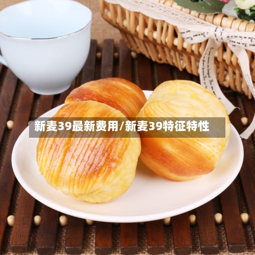 新麦39最新费用/新麦39特征特性