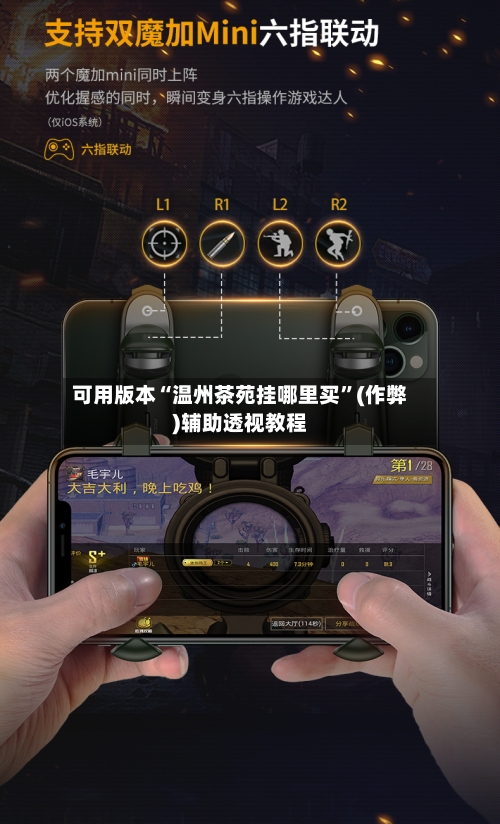 可用版本“温州茶苑挂哪里买	”(作弊)辅助透视教程-第2张图片