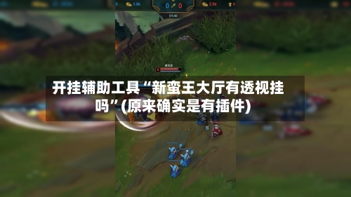 开挂辅助工具“新蛮王大厅有透视挂吗”(原来确实是有插件)-第3张图片