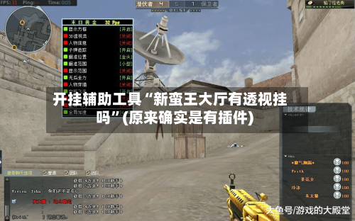 开挂辅助工具“新蛮王大厅有透视挂吗”(原来确实是有插件)-第2张图片