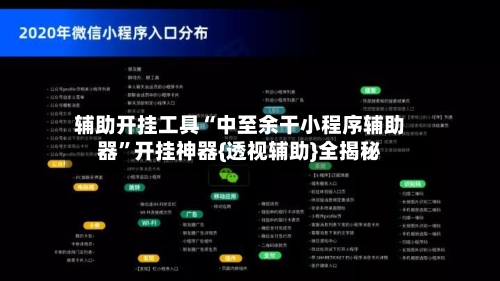 辅助开挂工具“中至余干小程序辅助器”开挂神器{透视辅助}全揭秘-第2张图片