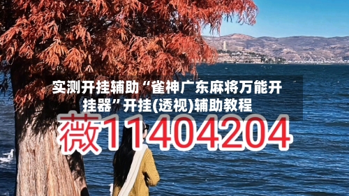 实测开挂辅助“雀神广东麻将万能开挂器”开挂(透视)辅助教程-第2张图片
