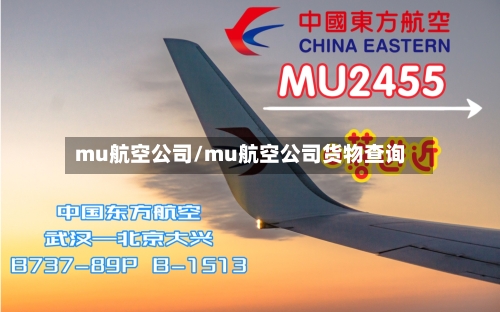 mu航空公司/mu航空公司货物查询-第2张图片