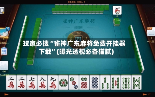 玩家必搜“雀神广东麻将免费开挂器下载”(曝光透视必备猫腻)-第3张图片