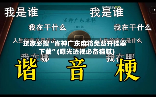 玩家必搜“雀神广东麻将免费开挂器下载	”(曝光透视必备猫腻)-第2张图片