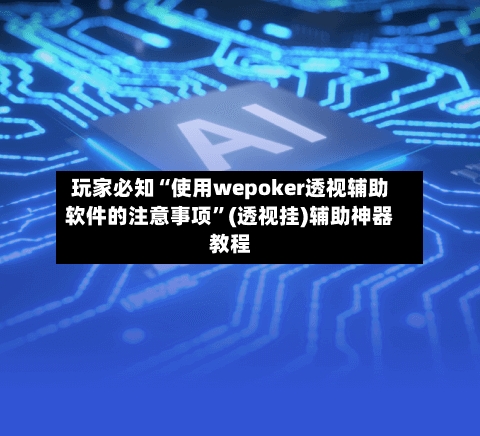 玩家必知“使用wepoker透视辅助软件的注意事项”(透视挂)辅助神器教程-第2张图片