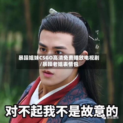 暴躁姐妹CSGO高清免费播放电视剧/暴躁老姐表情包-第2张图片