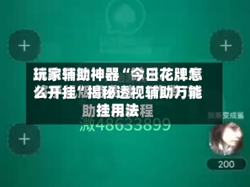 玩家辅助神器“今日花牌怎么开挂”揭秘透视辅助万能挂用法