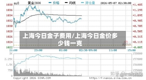 上海今日金子费用/上海今日金价多少钱一克