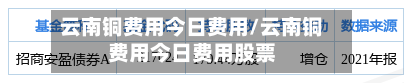 云南铜费用今日费用/云南铜费用今日费用股票-第2张图片