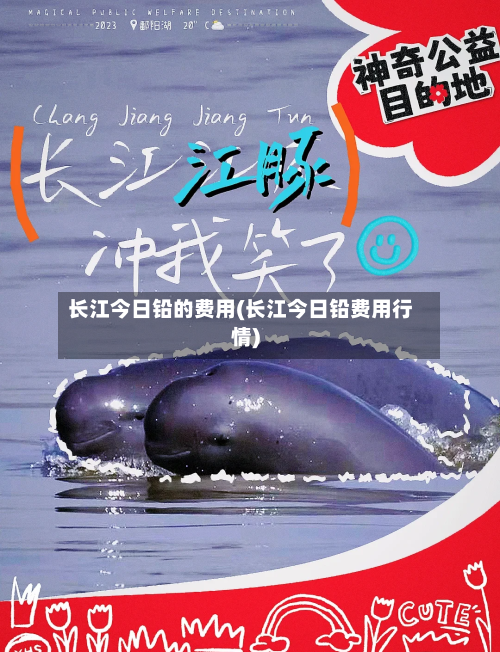 长江今日铅的费用(长江今日铅费用行情)