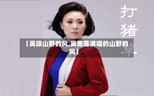 【吴琼山野的风,吴美莲演唱的山野的风】-第2张图片