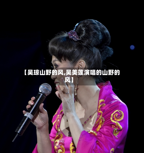 【吴琼山野的风,吴美莲演唱的山野的风】-第3张图片