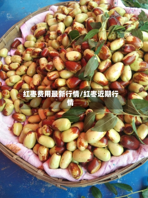 红枣费用最新行情/红枣近期行情