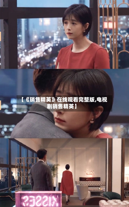 【《销售精英》在线观看完整版,电视剧销售精英】-第2张图片