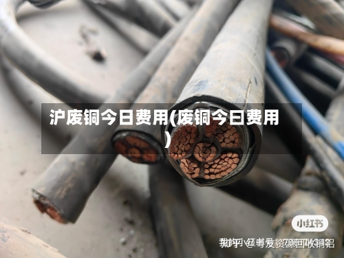 沪废铜今日费用(废铜今曰费用)-第2张图片