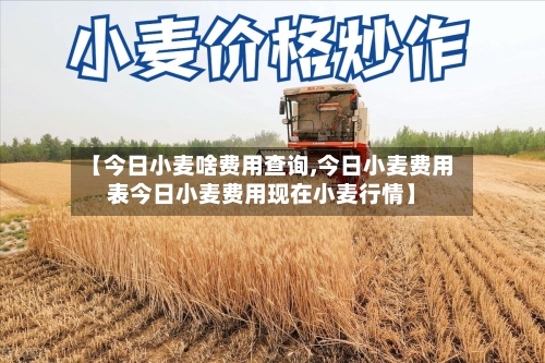 【今日小麦啥费用查询,今日小麦费用表今日小麦费用现在小麦行情】-第2张图片