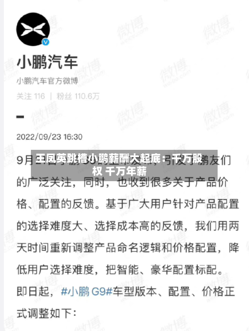 王凤英跳槽小鹏薪酬大起底：千万股权 千万年薪