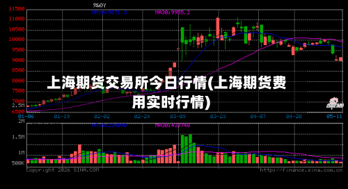 上海期货交易所今日行情(上海期货费用实时行情)-第2张图片