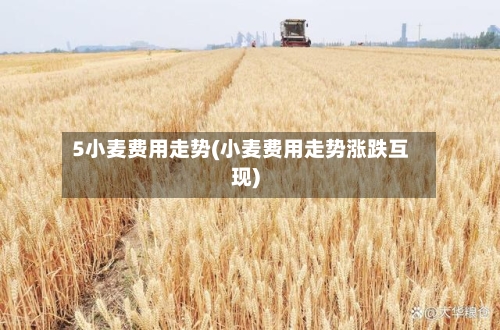 5小麦费用走势(小麦费用走势涨跌互现)-第2张图片