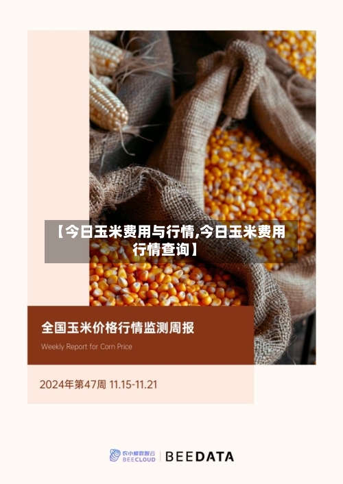 【今日玉米费用与行情,今日玉米费用行情查询】