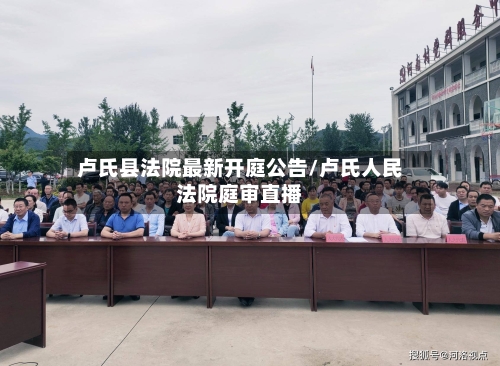 卢氏县法院最新开庭公告/卢氏人民法院庭审直播-第2张图片