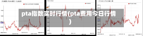 pta指数实时行情(pta费用今日行情)-第2张图片