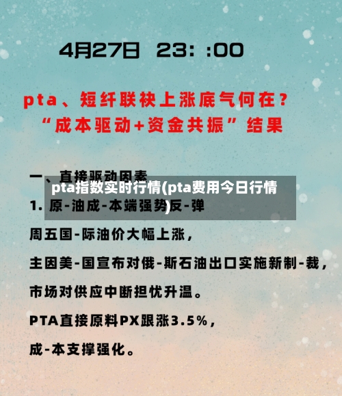 pta指数实时行情(pta费用今日行情)