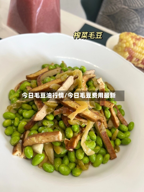 今日毛豆油行情/今日毛豆费用最新