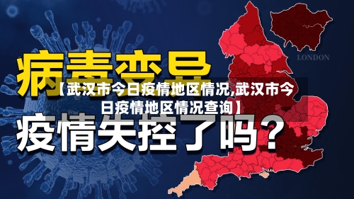 【武汉市今日疫情地区情况,武汉市今日疫情地区情况查询】