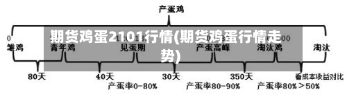 期货鸡蛋2101行情(期货鸡蛋行情走势)-第3张图片