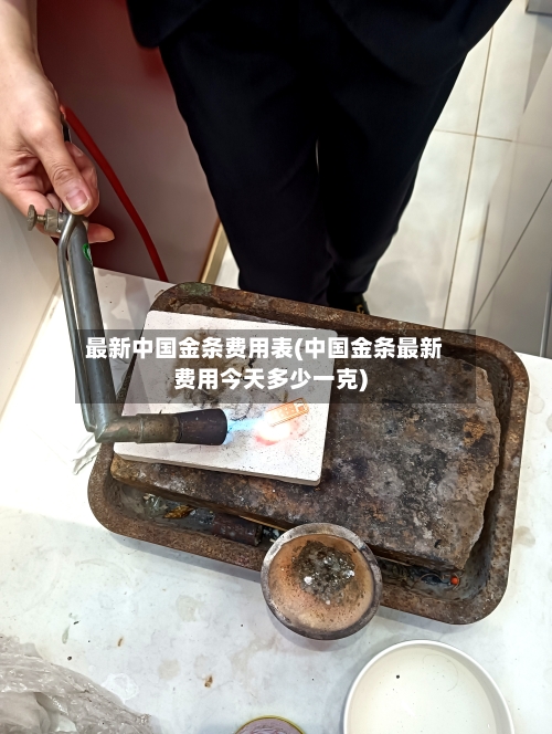 最新中国金条费用表(中国金条最新费用今天多少一克)