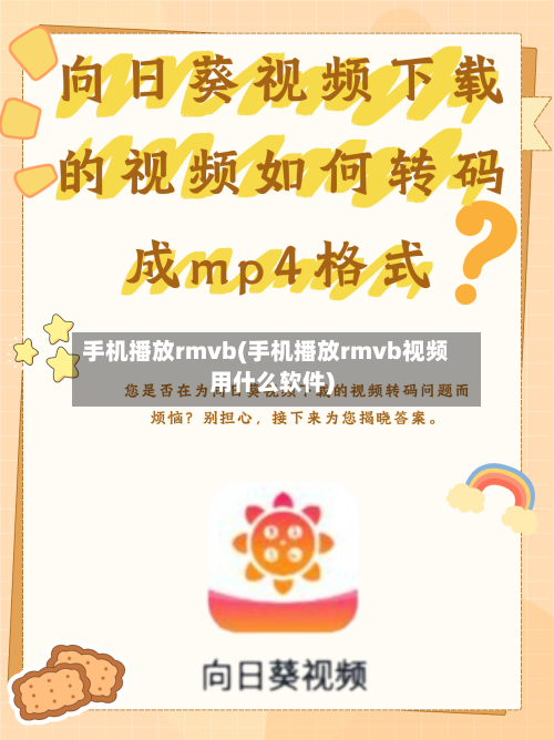 手机播放rmvb(手机播放rmvb视频用什么软件)-第2张图片