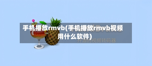 手机播放rmvb(手机播放rmvb视频用什么软件)