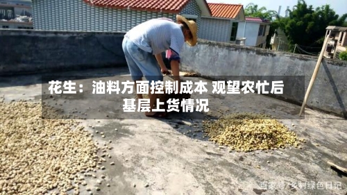 花生：油料方面控制成本 观望农忙后基层上货情况-第2张图片