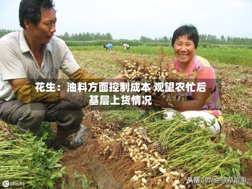 花生:油料方面控制成本 观望农忙后基层上货情况