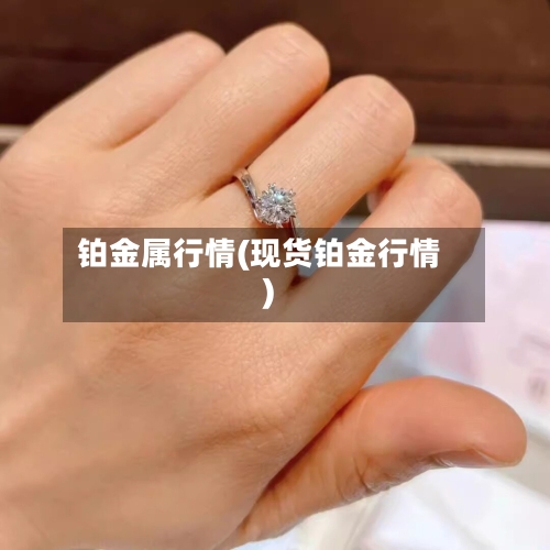 铂金属行情(现货铂金行情)-第3张图片
