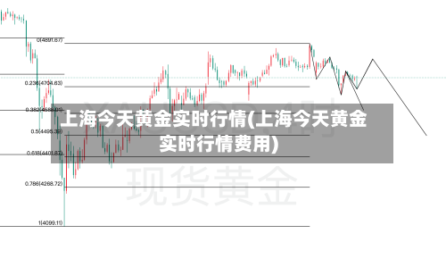 上海今天黄金实时行情(上海今天黄金实时行情费用)